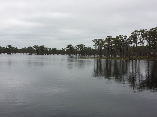 Lakeland旅游攻略图片
