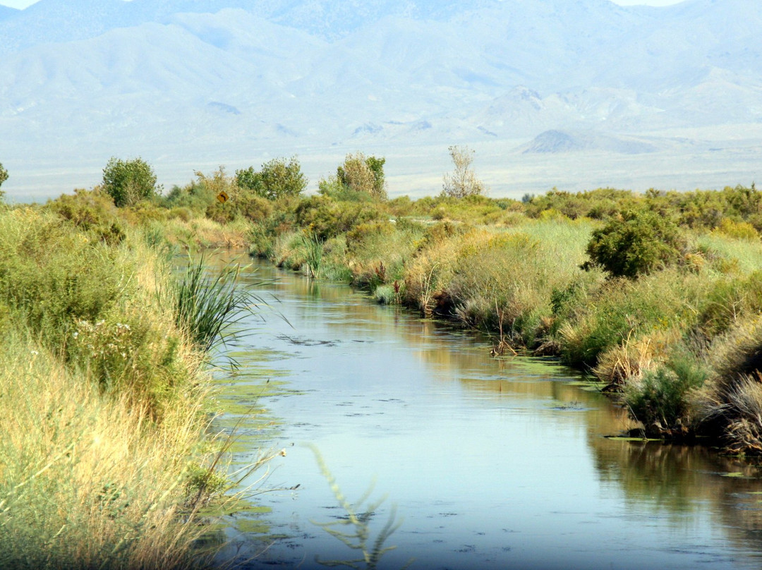 Stillwater National Wildlife Refuge景点图片