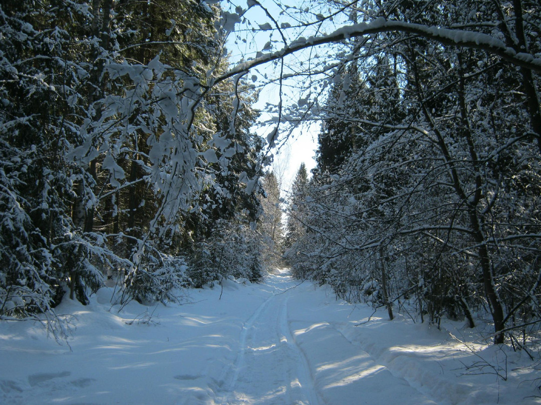 Kimrsky District旅游攻略图片