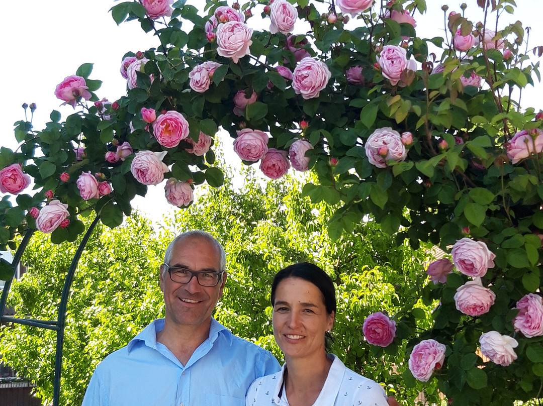 Maerstetten旅游攻略图片