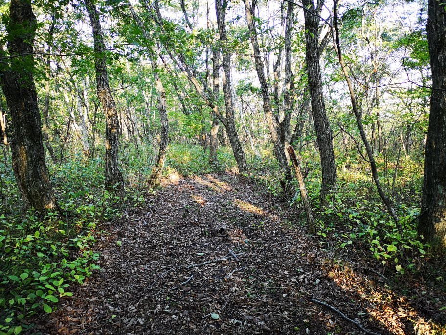 Lake Utonai Sanctuary景点图片