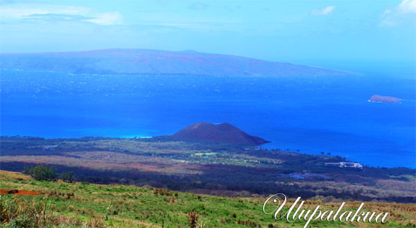 Maui Country Farm Tours-马卡瓦必去景点