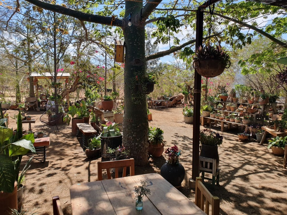 Almú Cocina de humo