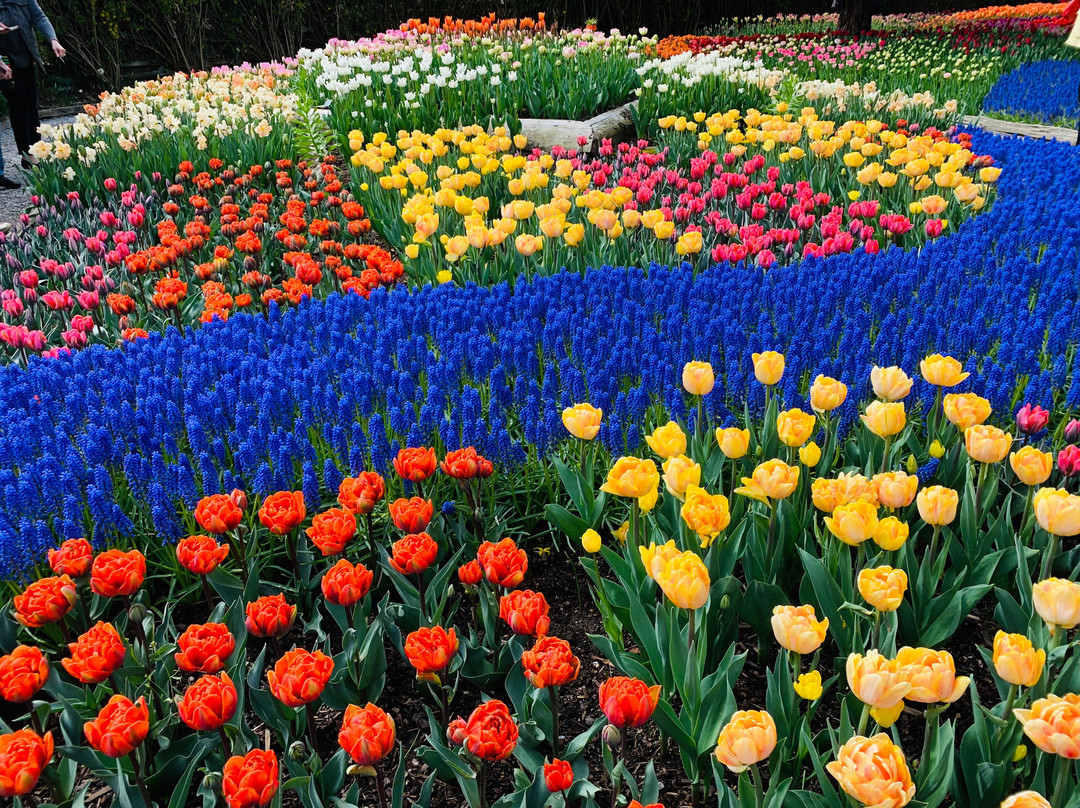 Roozengaarde Display Garden景点图片