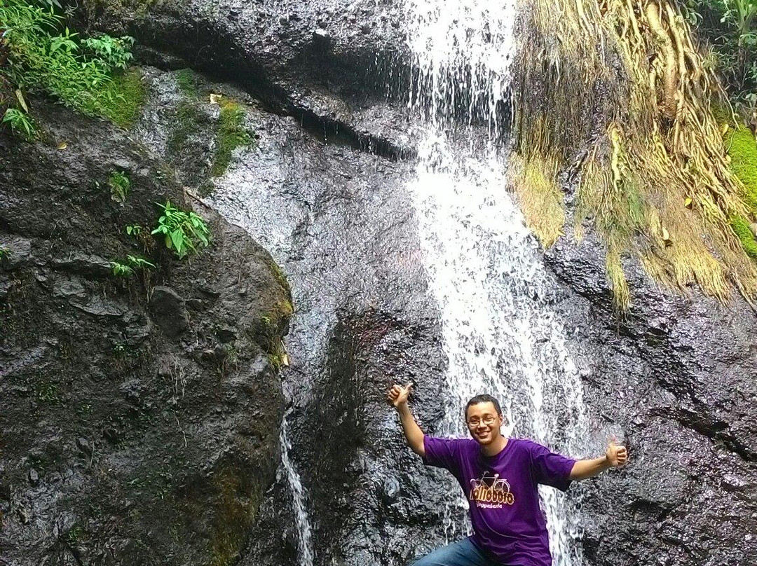 Roro Kuning Waterfall景点图片