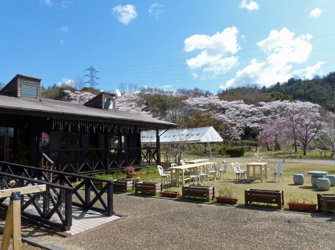 Shiga-kenritsu Omi Fuji Karyoku Park景点图片