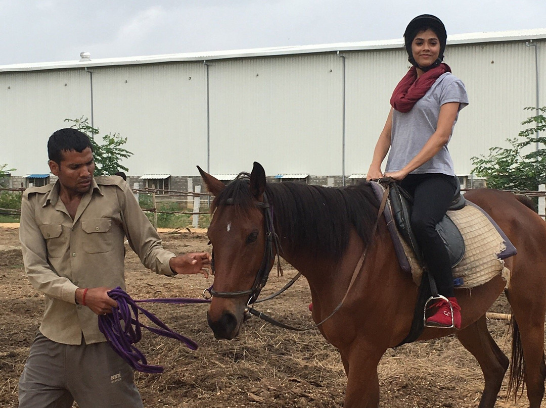 Bangalore Horse Riding School-班加罗尔必去景点