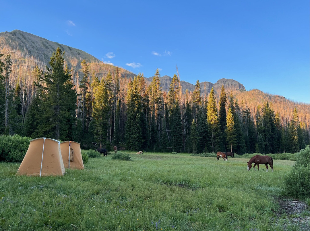 Yellowstone Outfitters-莫兰必去景点