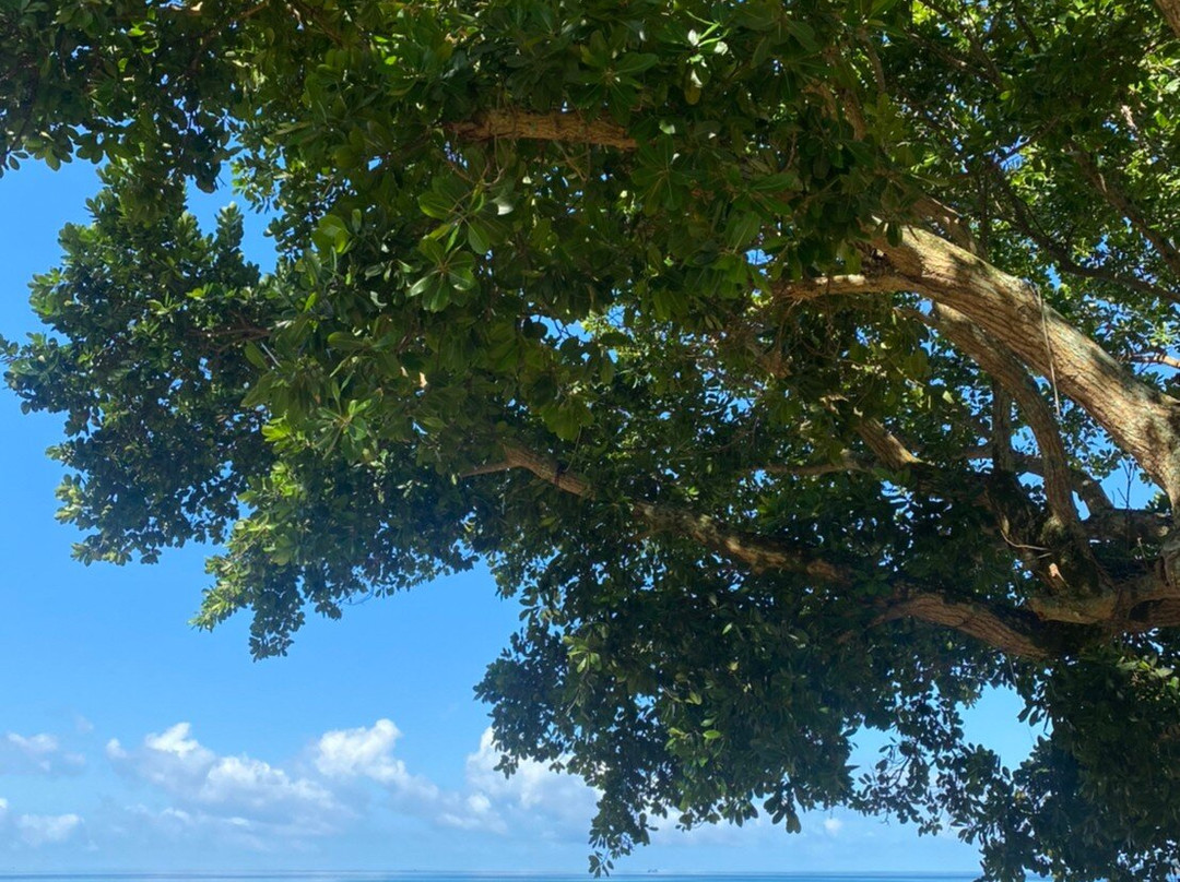 慵懒时日度假村主图