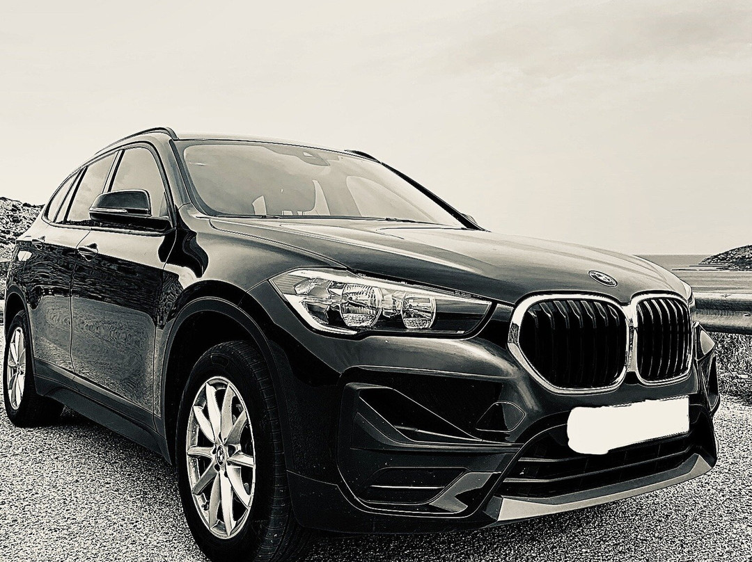 My Wheel-米科诺斯必去景点