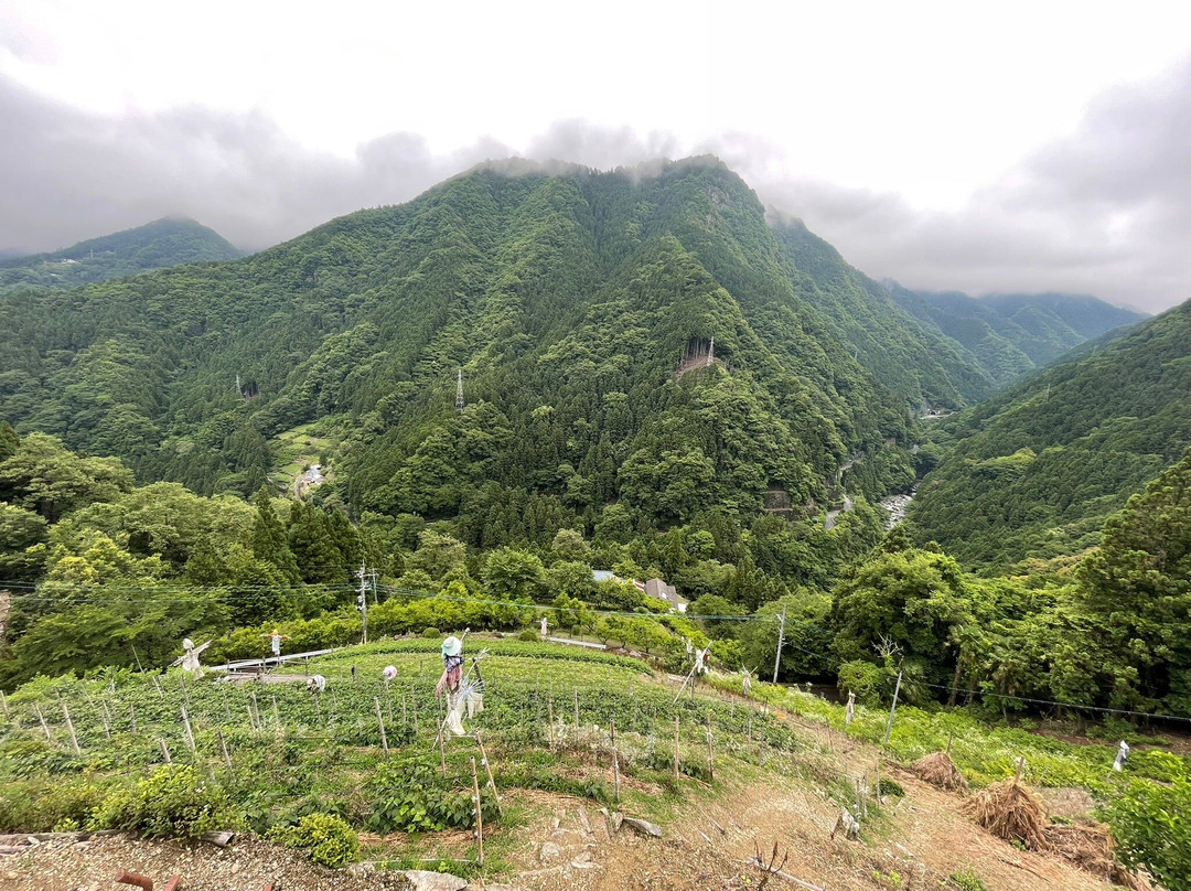 Sarukai Village