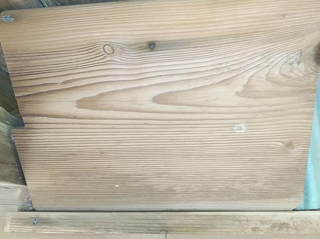 Seiko-ji Temple-印幡郡必去景点