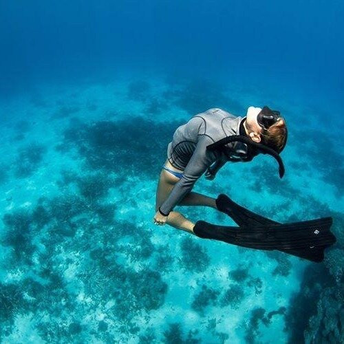 Freedive Aotearoa景点图片