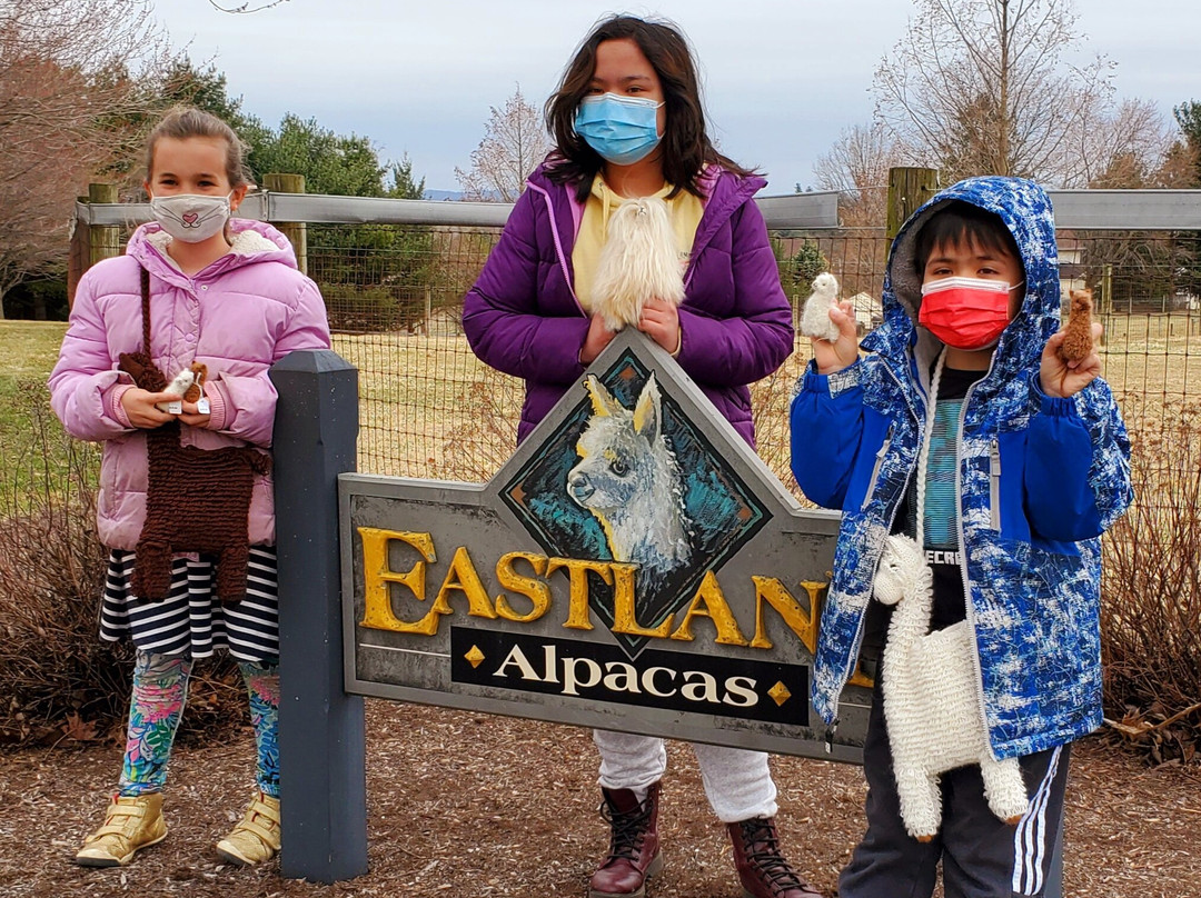 Eastland Alpacas-Mount Joy必去景点