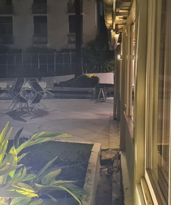 Wembley Inn Hotel酒店图片