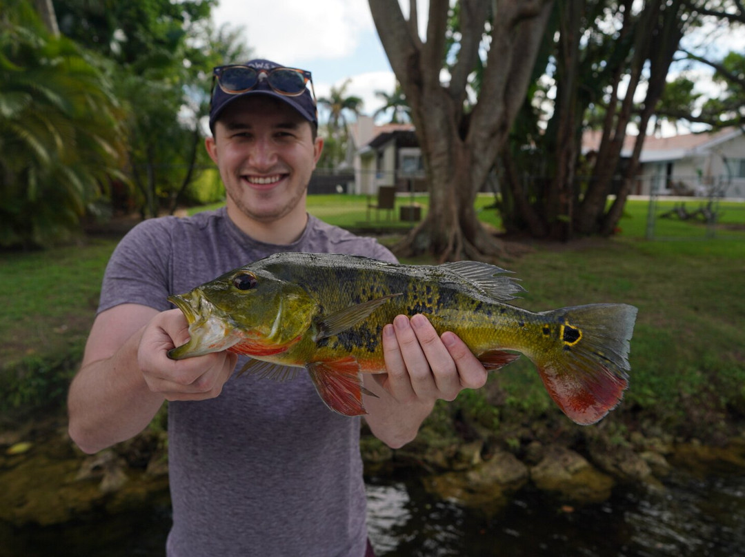 Miami Peacock Adventures - Day Tours-肯德尔必去景点