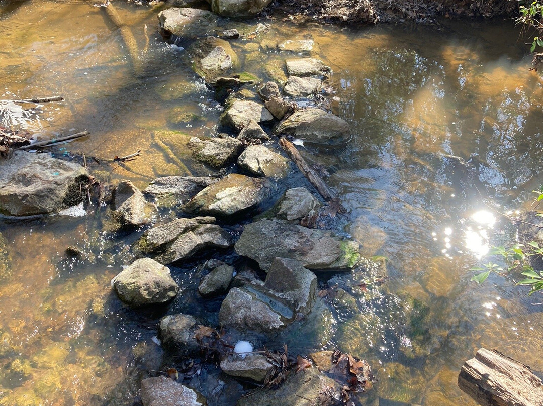 Uwharrie National Forest景点图片