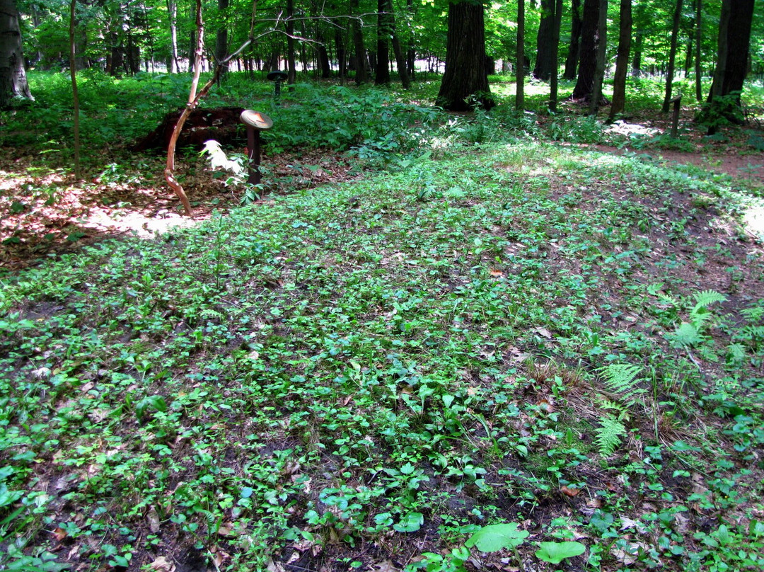 Indian Mounds Park景点图片