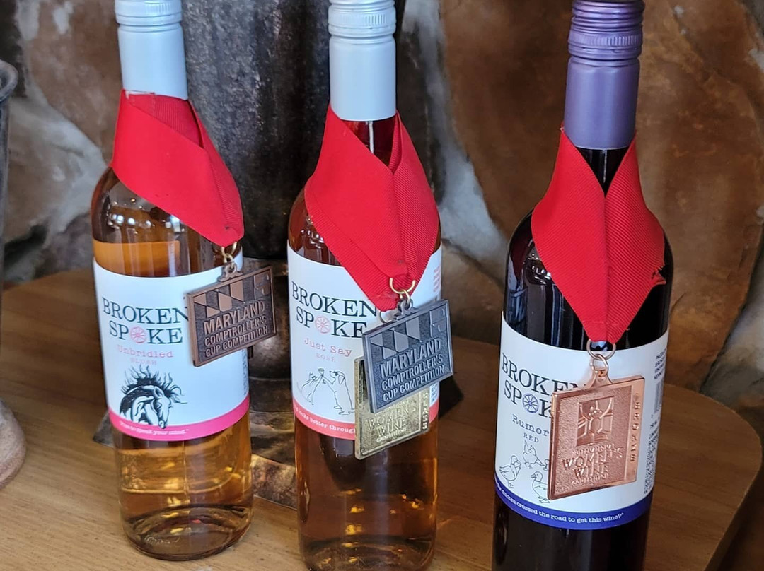 Broken Spoke Vineyard and Winery-Earleville必去景点