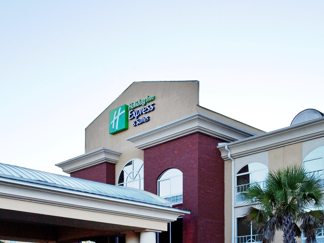 Bethune酒店住宿-Holiday Inn Express & Suites Camden-I20 / Hwy 521 by IHG