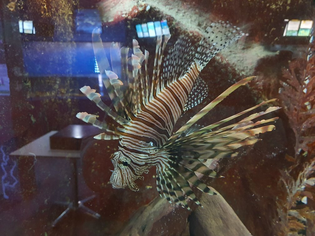 Merimbula Aquarium & Wharf-梅林布拉必去景点