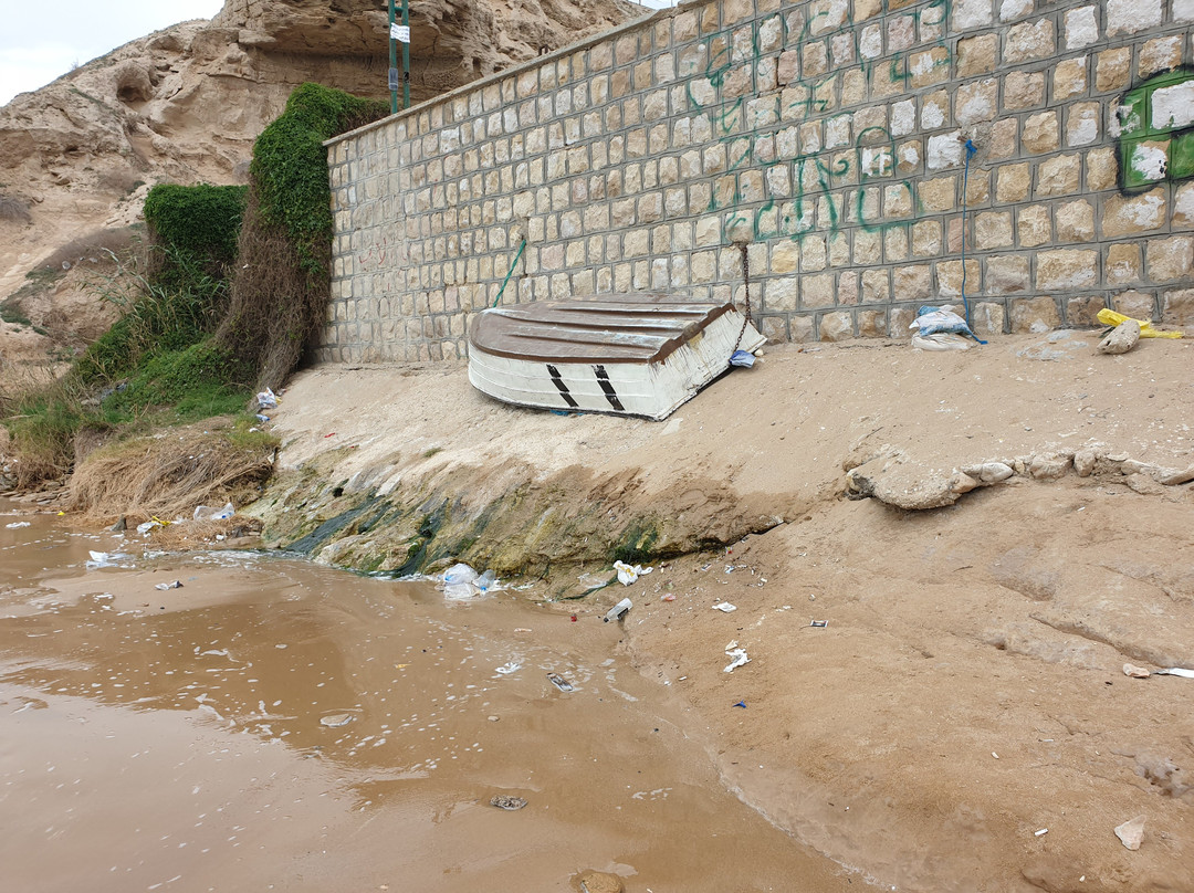 Ree Shahr-Bushehr必去景点