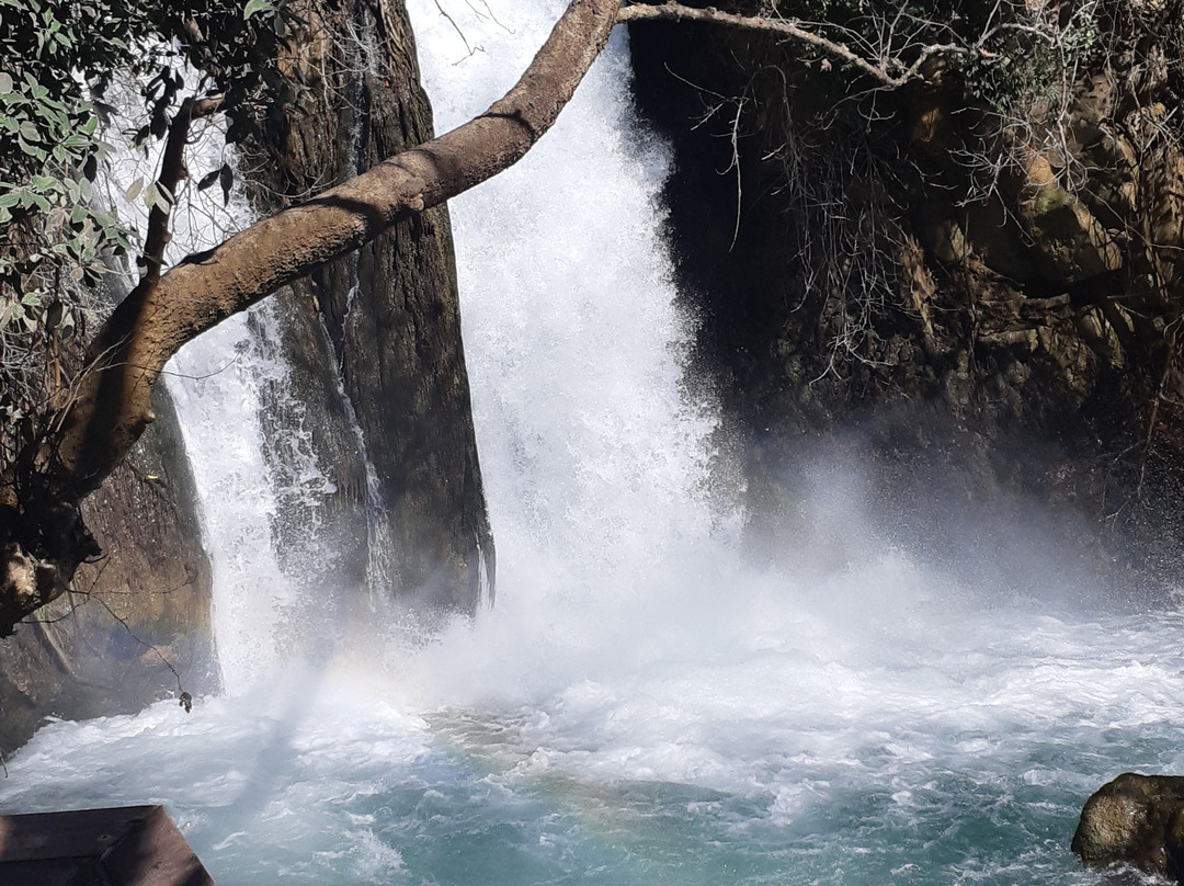 Hermon Stream Nature Reserve-Merom Golan必去景点