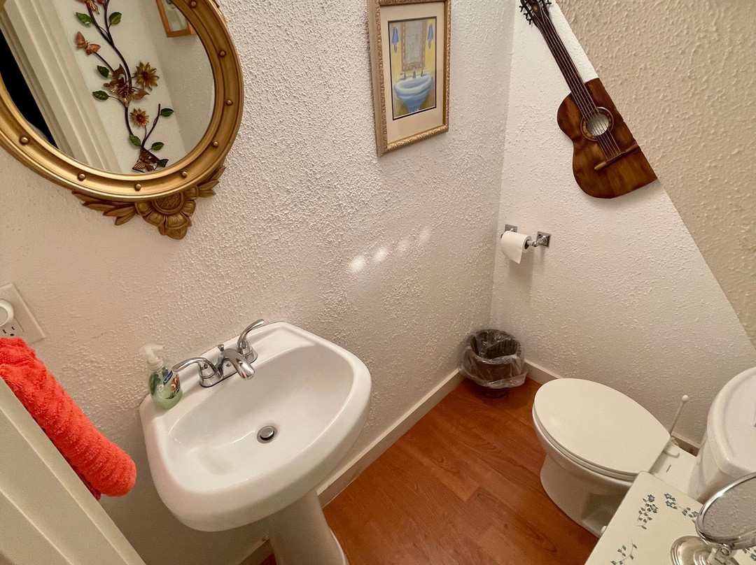 Lamb and Lion Inn主图