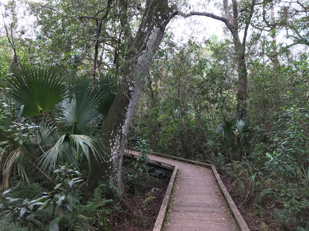 Caloosahatchee Creeks Preserve East-North Fort Myers必去景点