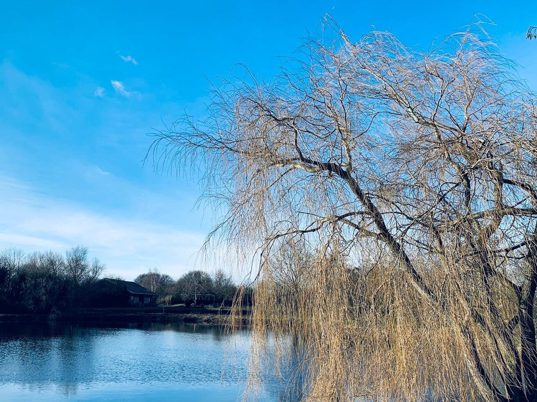 Outdoorpark Friesland景点图片