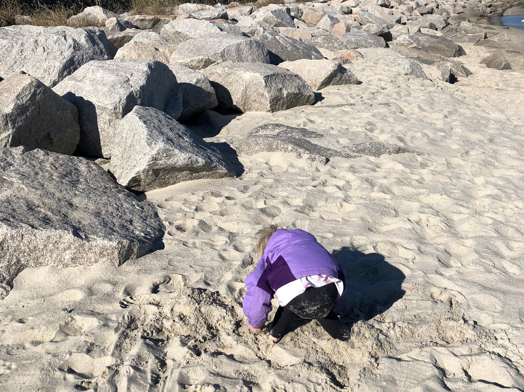 Fort Fisher State Recreation Area景点图片