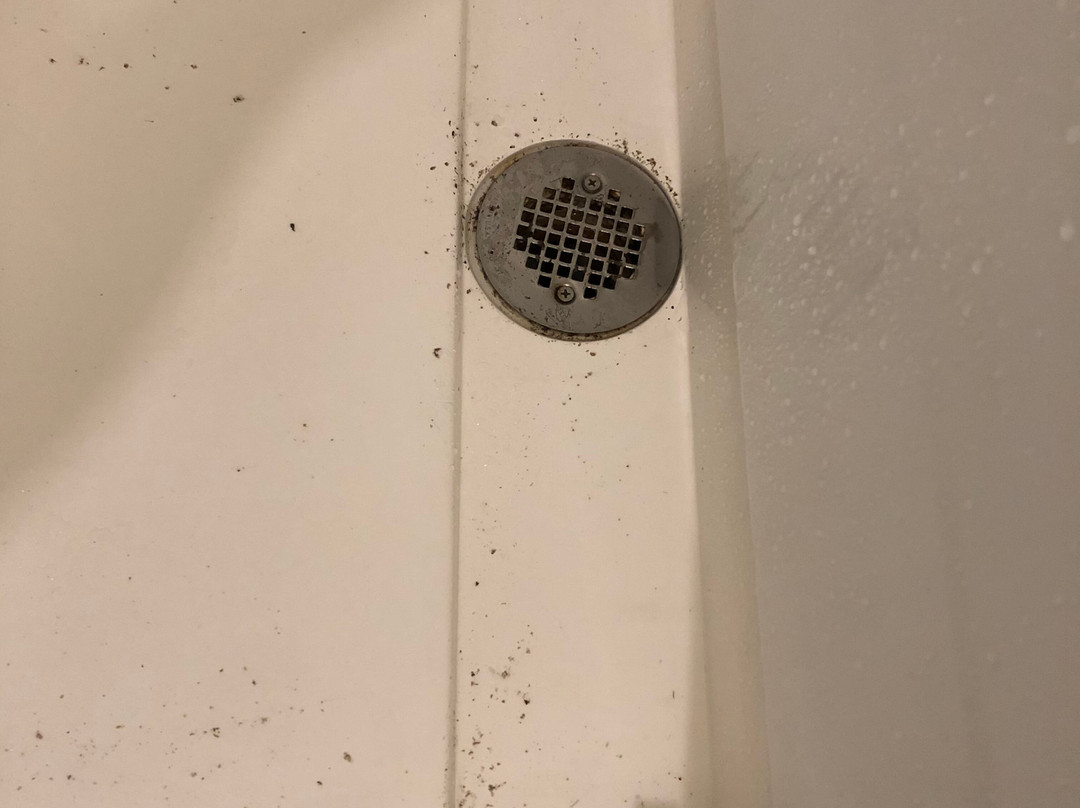 圣路易斯机场万丽酒店主图