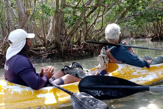 Maya tour Mid-梅里达必去景点
