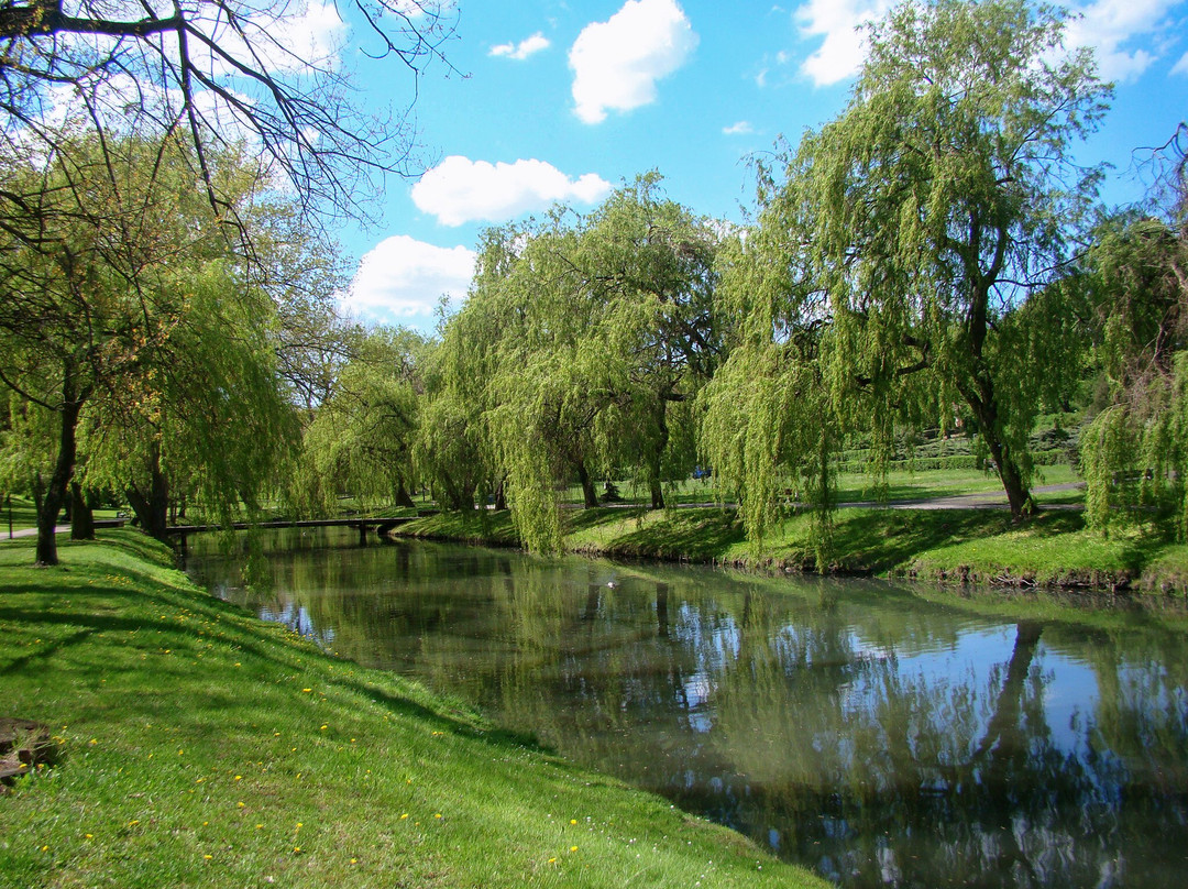 Park Im. H. Sienkiewicza景点图片