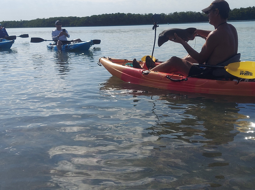 Keys Kayak LLC-马拉松必去景点