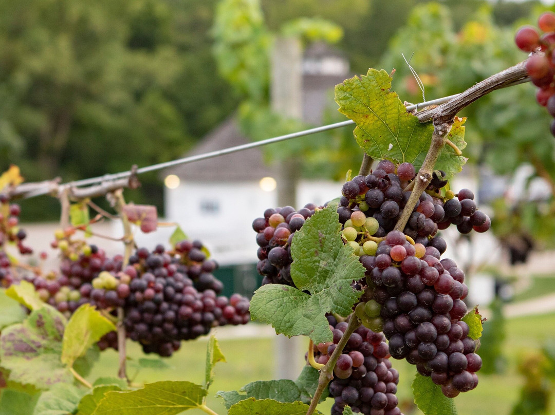 Round Barn Winery & Estate-Baroda必去景点