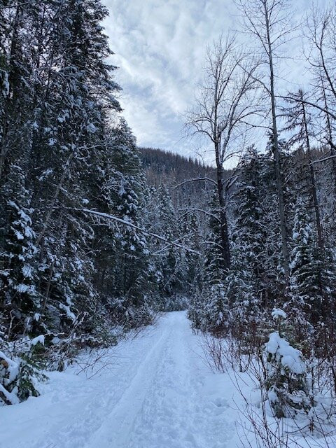 Skiumah Creek Trail-西格拉西尔必去景点