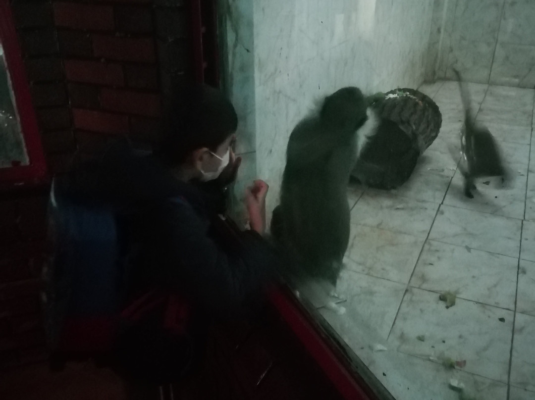 Gaziantep Zoo景点图片