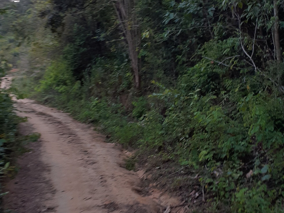 Toca da Coruja-Bonito必去景点