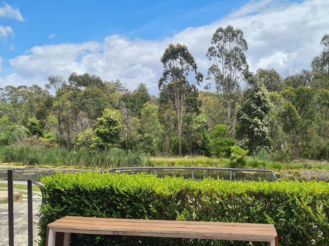 Teas and Greens Cafe