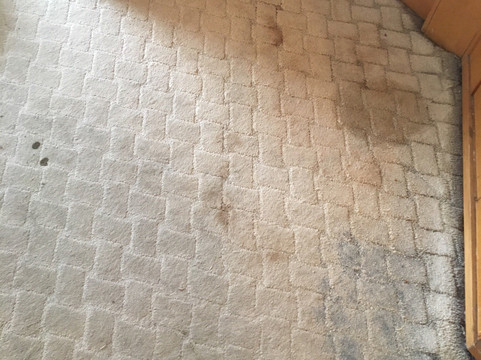 皇苑大酒店主图