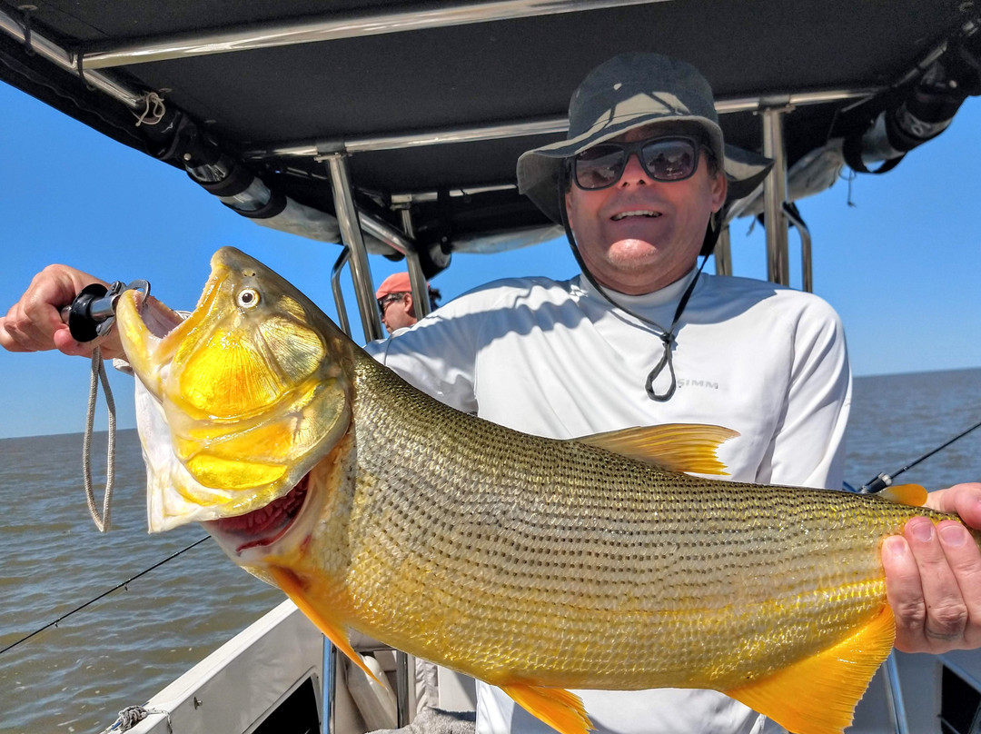 Delta Aventura-布宜诺斯艾利斯必去景点