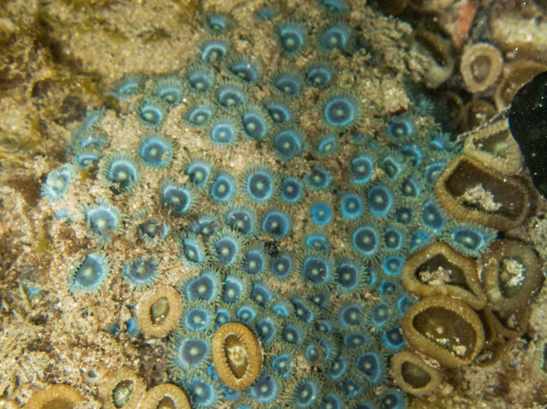 Saco do Eustaquio-伊利亚贝拉必去景点