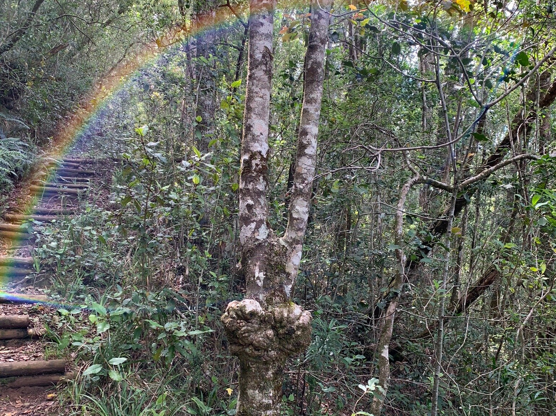 Terblans Nature Walk-克尼斯纳必去景点