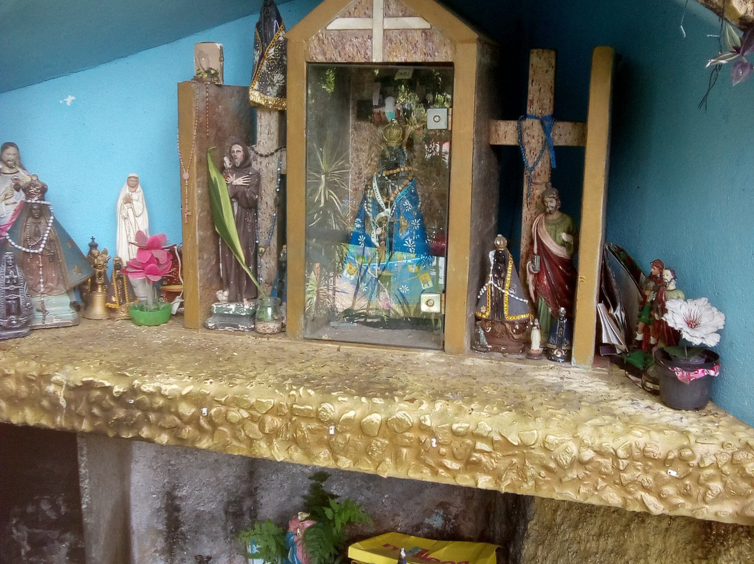 Parque Catarina Scarparo D'Agostini-Sao Caetano do Sul必去景点