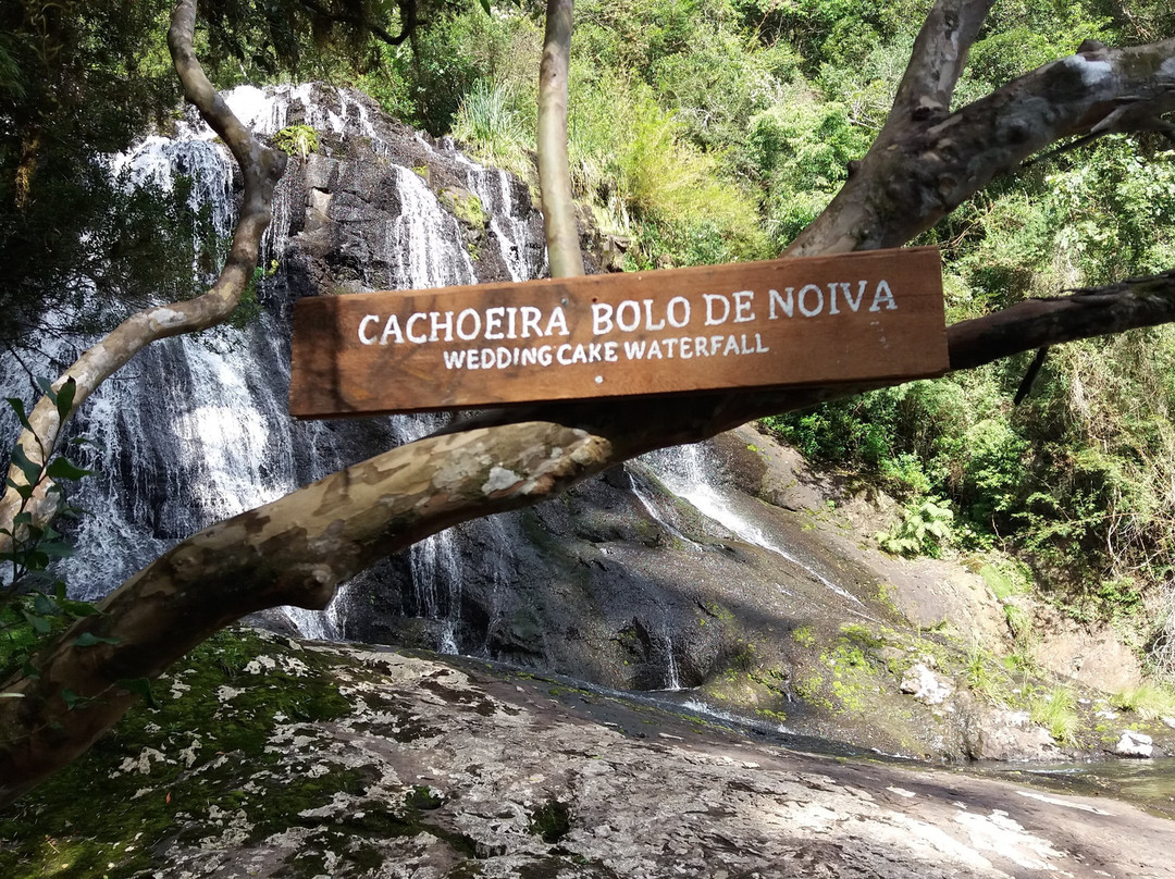 Floresta Nacional De São Francisco De Paula景点图片
