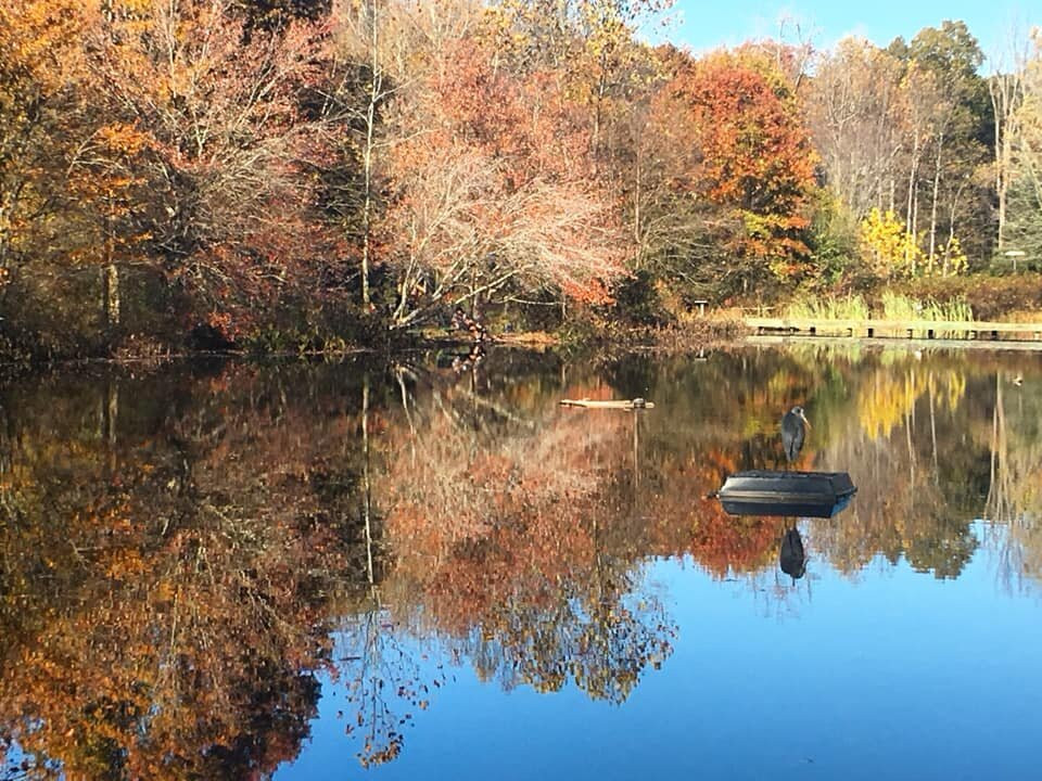 Ellanor C. Lawrence Park-森特维尔必去景点