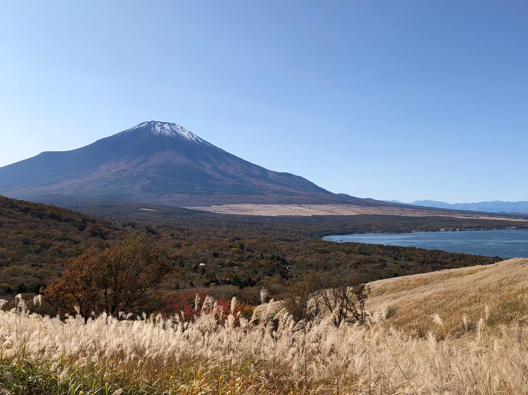 Mikuni Toge Observatory-裾野市必去景点
