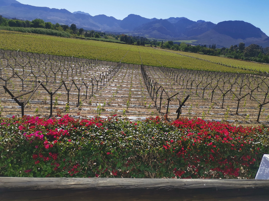 古德慕德江山旅馆主图