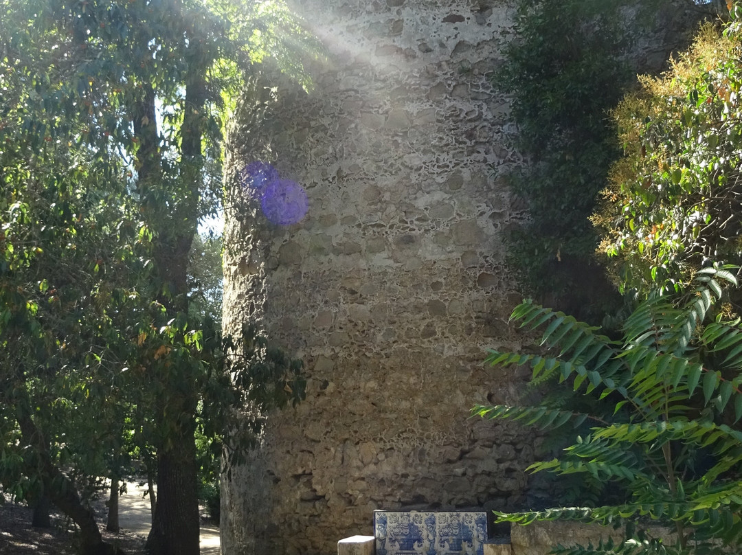 Ruínas Fingidas-埃武拉必去景点